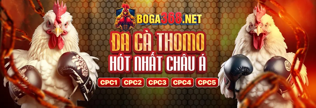Cá cược trực tiếp 8fbet link mới